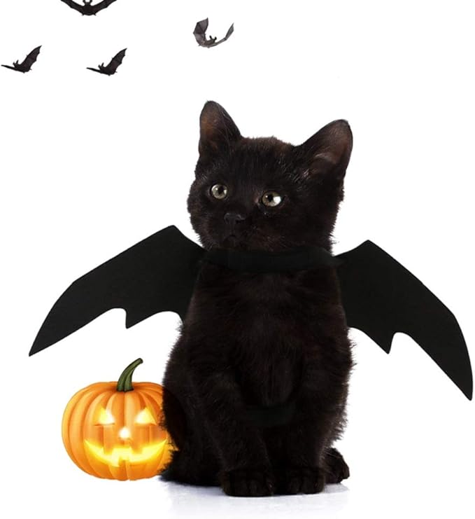 stock show 1 件猫蝙蝠翅膀服装,万圣节猫狗酷炫蝙蝠翅膀胸背带服装